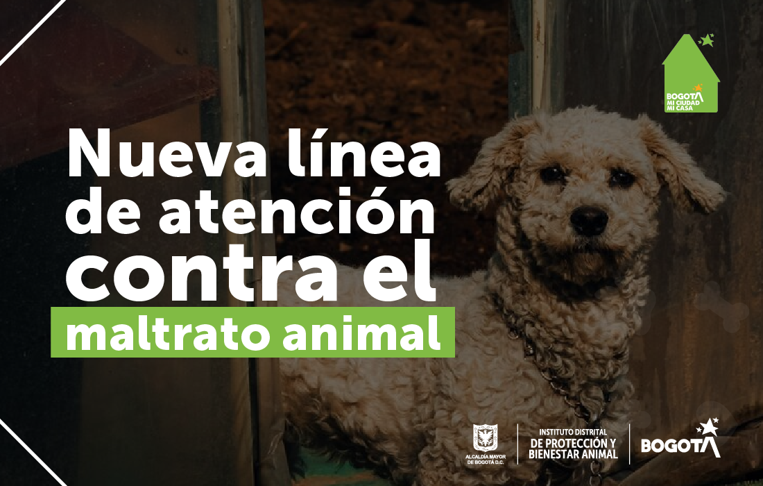 Nueva Línea para reportar casos Contra el Maltrato Animal en Bogotá